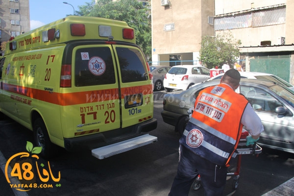 fall from above (4).JPG